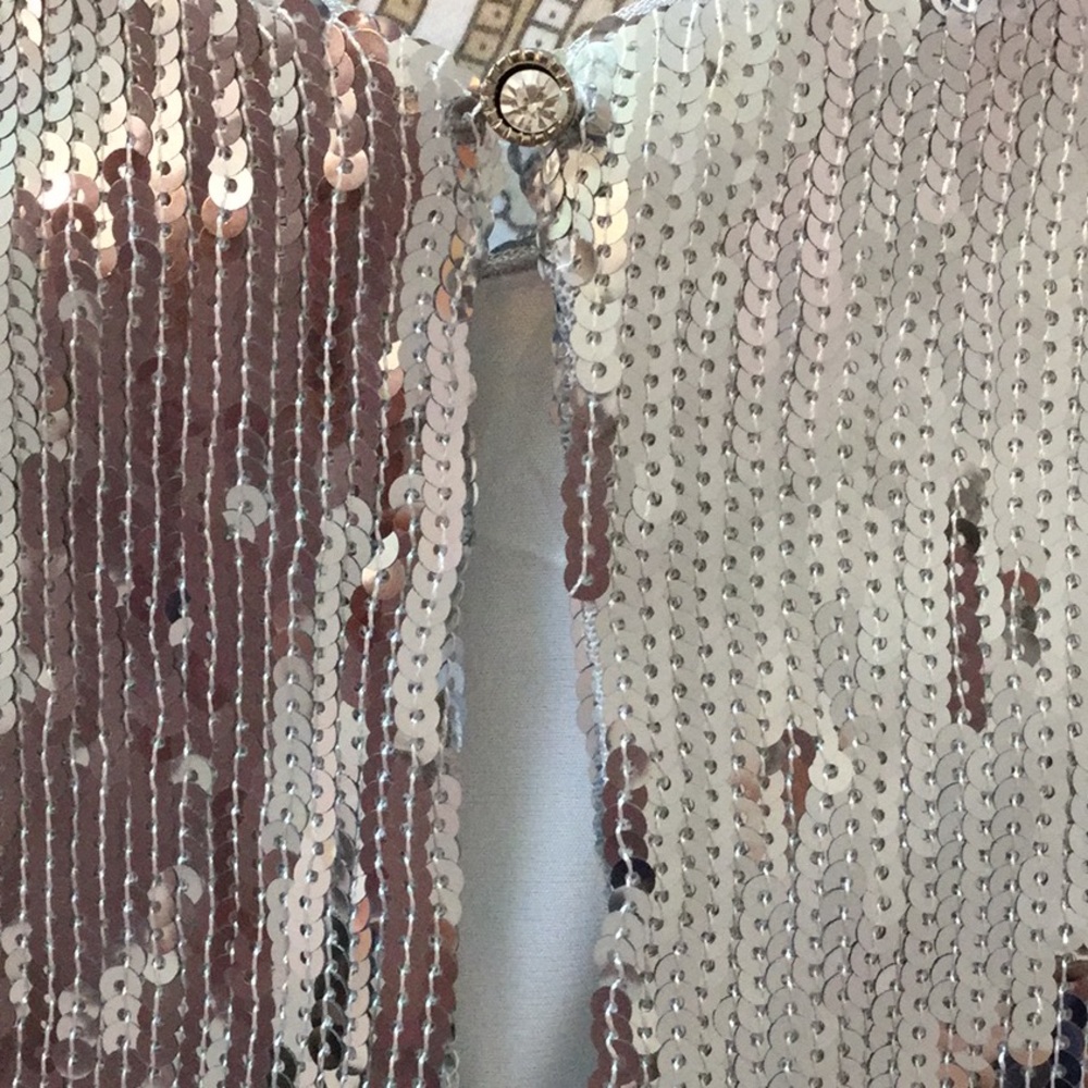 Silver sparkling  top from Boston Proper - Picture 5 of 5